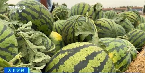 上海教师吃瓜黑料,上海教师吃瓜黑料背后的真相