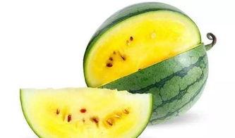 91cg吃瓜黑料,揭秘娱乐圈背后的真相与争议