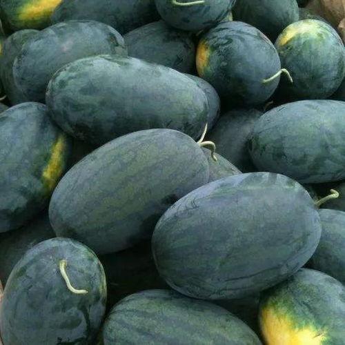 52吃瓜黑料论坛